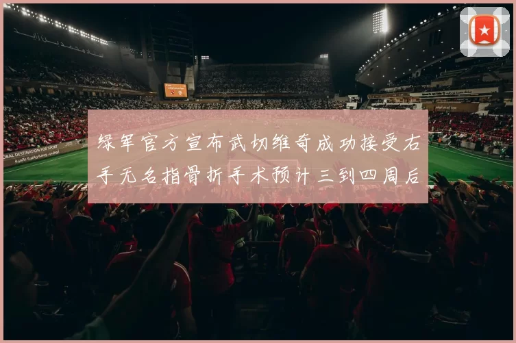 绿军官方宣布武切维奇成功接受右手无名指骨折手术预计三到四周后复查